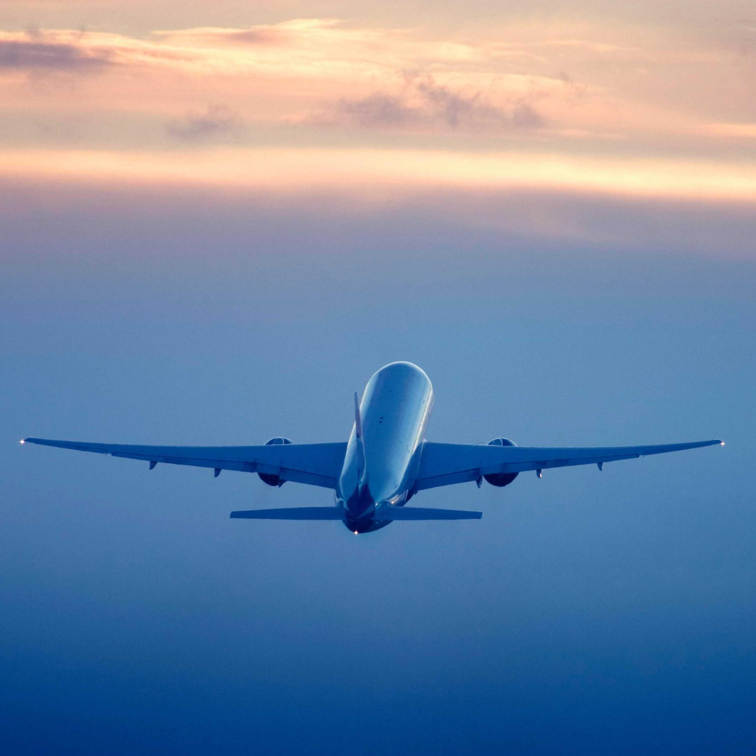 SÁU THÁNG TẠI HÀ LAN