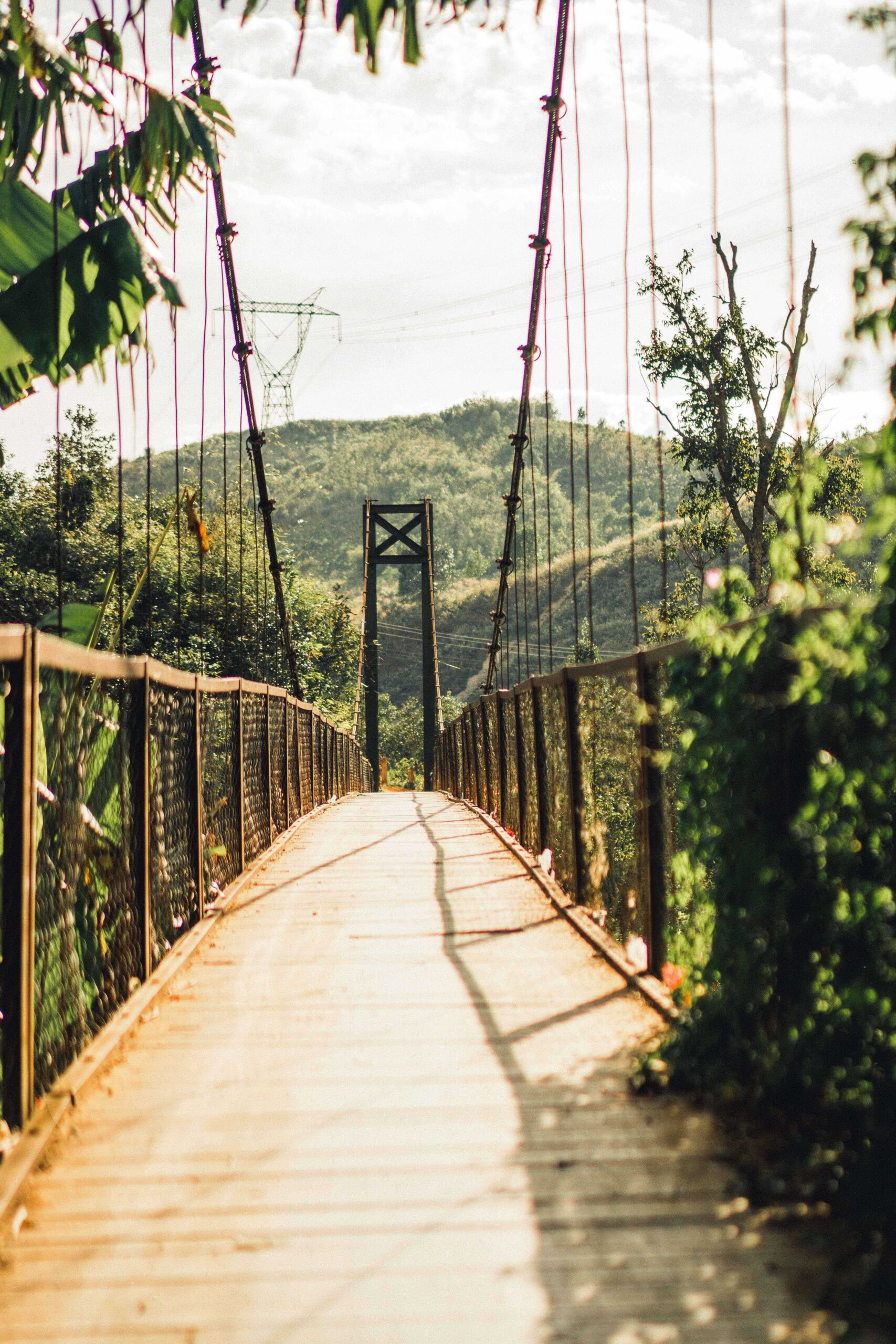 Funding a new bridge in rural Vietnam: a field experiment on social influence and default contributions – Oxford Economic Papers