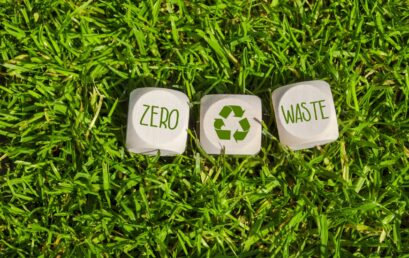 Thesis Public Defense | VNP25 Thái Thị Cẩm Vân