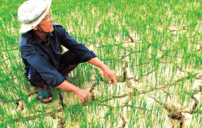 Thesis Public Defense | VNP25 Lưu Bích Thu