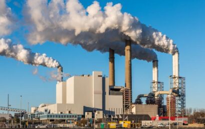 Thesis Public Defense | VNP26 – Nguyễn Phúc Phương Vy