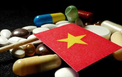 Thesis Public Defense | VNP26 – Hoàng Thị Ngọc Thắng