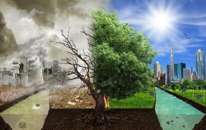 Thesis Public Defense | VNP29 – Đinh Hùng Danh