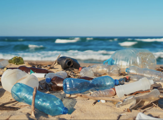 Thesis Public Defense | VNP30 – Lê Thị Mỹ Quỳnh