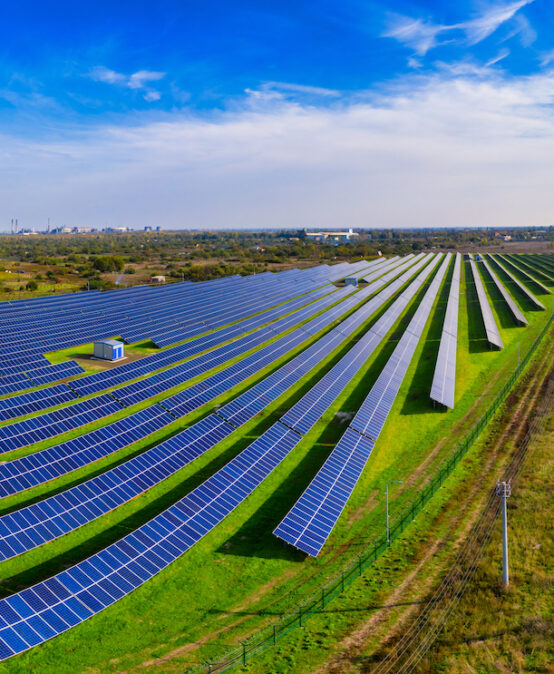 Thesis Public Defense | VNP30 – Nguyễn Khôi Nguyên