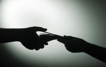 Thesis Public Defense | VNP30 – Trương Trần Minh Thư